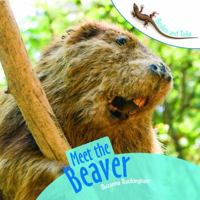 Meet the Beaver (Scales and Tails) 1404245022 Book Cover