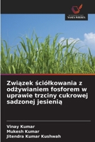 Zwiazek sciólkowania z odzywianiem fosforem w uprawie trzciny cukrowej sadzonej jesienia 6209121101 Book Cover