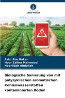 Biologische Sanierung von mit polyzyklischen aromatischen Kohlenwasserstoffen kontaminierten Böden 6209342671 Book Cover