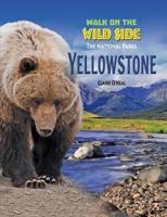 Yellowstone 1624692419 Book Cover