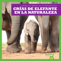 Crías de elefante en la naturaleza (Elephant Calves in the Wild) (Bullfrog Books: Spanish Edition: (¡Animales bebés en la naturaleza! B0BGNDXBHR Book Cover