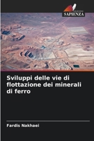 Sviluppi delle vie di flottazione dei minerali di ferro (Italian Edition) 6203595268 Book Cover