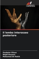 Il lembo interosseo posteriore 6206219127 Book Cover