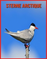 Sterne Arctique: Découvrez les Sterne Arctique et Admirez des Images Colorées B08WJZC7HY Book Cover