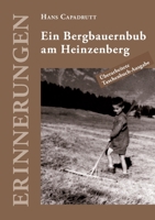 Erinnerungen: Ein Bergbauernbub am Heinzenberg 3756886905 Book Cover