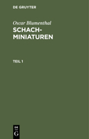 Schachminiaturen 3112456637 Book Cover