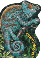 Chameleons 0859535649 Book Cover