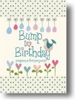 Bump to Birthday, Pregnancy & First Year Journal 1907048480 Book Cover