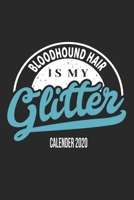 Bloodhound Hair Is My Glitter Calender 2020: Funny Cool Bloodhound Calender 2020 Monthly & Weekly Planner - 6x9 - 128 Pages. Cute Gift For All Moms, Mothers, New Pet Owners, Enthusiasts, Fans And Love 1677491159 Book Cover