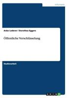 Öffentliche Verschlüsselung 3656449902 Book Cover
