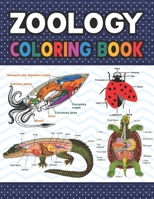 Zoology Coloring Book: Collection of Simple Illustrations of Zoology. Handbook of Veterinary Anesthesia. Dog Cat Horse Frog Bird Anatomy Coloring ... Handbook of Zoology Students & Teachers. B08R4K64L1 Book Cover