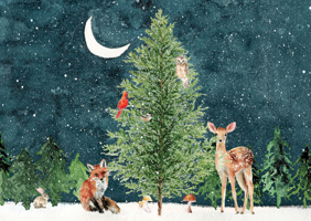 Moonlit Forest Friends Deluxe Boxed Holiday Cards 1441343318 Book Cover