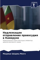 Надлежащее отправление & 6207847903 Book Cover