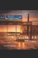 Trying Times 1095118552 Book Cover