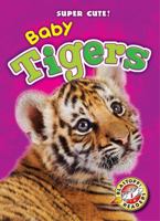 Baby Tigers 1626171734 Book Cover