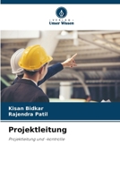 Projektleitung: Projektleitung und -kontrolle (German Edition) 620762890X Book Cover