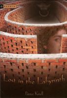 Lost in the Labyrinth 0618394028 Book Cover