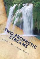 Two Prophetic Streams: ''The Prophet And The Seer'' 1721854088 Book Cover