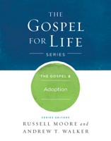 The Gospel  Adoption 1433690322 Book Cover