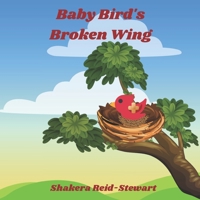 Baby Bird's Broken Wing B0C2RVLQPV Book Cover