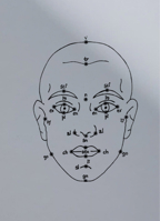 Megan Williams and Sheung Yiu: (Inter)Faces of Predictions 3959059752 Book Cover
