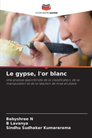 Le gypse, l'or blanc (French Edition) 6630119932 Book Cover