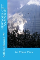 NEW YORK CITY SNAPSHOTS In Plain View 1986621502 Book Cover