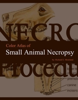 Color Atlas of Small Animal Necropsy 0557075971 Book Cover
