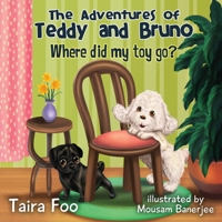 Where did my toy go? 1916290450 Book Cover