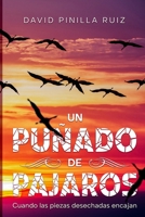 UN PUÑADO DE PÁJAROS: Cuando las piezas desechadas encajan (Novelas insumisas) (Spanish Edition) B0CM6FY9RM Book Cover