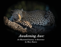 Awakening Awe: An Illustrated Journey to Reverence 194575625X Book Cover