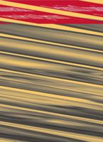 Tapeworm 098266463X Book Cover