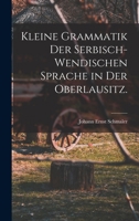 Kleine Grammatik der serbisch-wendischen Sprache in der Oberlausitz. 101920625X Book Cover