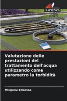 Valutazione delle prestazioni del trattamento dell'acqua utilizzando come parametro la torbidità (Italian Edition) 6206923126 Book Cover
