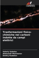 Trasformazioni fisico-chimiche nei carboni indotte da campi elettrici (Italian Edition) 6204838865 Book Cover