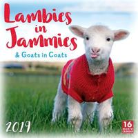 Lambies in Jammies & Goats in Coats 2019 Wall Calendar 1531904467 Book Cover