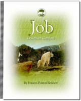 Job Lessons in Comfort 0981828310 Book Cover