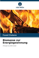 Biomasse zur Energiegewinnung: Energie aus Biomasse 6206065847 Book Cover