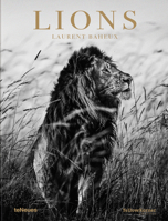 Lions 3961712344 Book Cover