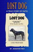 Lost Dog: A True Story of Faith 1496194608 Book Cover