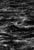 Desert Made in Chile: Photographs By Raimundo Lagos 0464821738 Book Cover