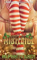 Under the Mistletoe 1541390237 Book Cover