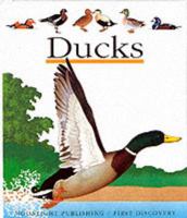 Ducks (First Discovery) 1851032789 Book Cover