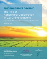 Finding Firmer Ground 1006387595 Book Cover