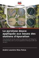 La pyrolyse douce appliquée aux boues des stations d'épuration (French Edition) 6207211766 Book Cover