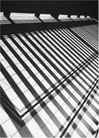 Karl Lagerfeld: Konkret Abstrakt Gesehen 3865215289 Book Cover