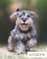 Notebook: Large College Ruled Notebook for Everyday Use Schnauzer Puppy Dog Cute and Fun 169128422X Book Cover