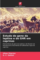 Estudo do gene da leptina e do GHR em caprinos 6206237257 Book Cover