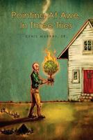 Pointing at Awe, in Three Tries 1467988006 Book Cover