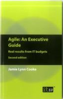 Agile an Executive Guide: Get Real Results from IT Budgets 1849287953 Book Cover